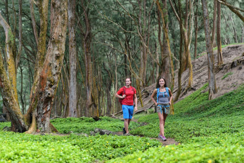 Tourists hiking on a trail through shading forest.