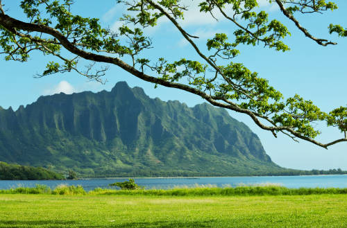 Sheer cliffs draped in green form the the scenic Kuilei Cliffs, pictured here during a Private Oahu Tour.